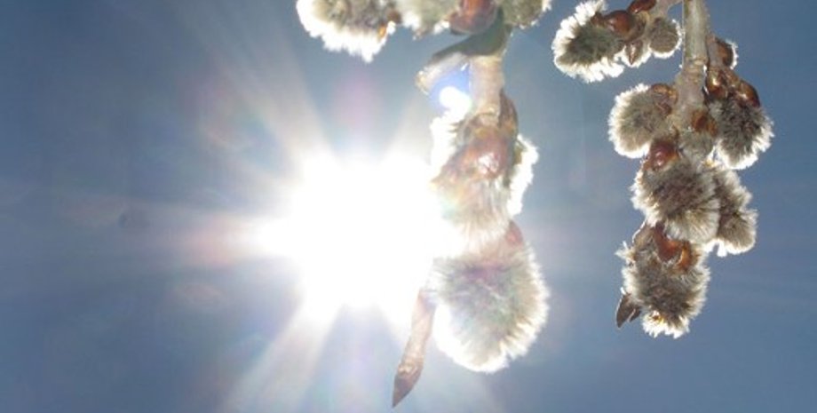 Фото: spiritmountain.net