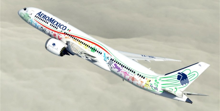 Літак, авіакомпанія Aeromеxico, пологи під час польоту, пологи в літаку, безкоштовні польоти, безкоштовні перельоти, лікар, курйози