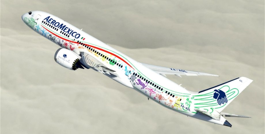 Самолет, авиакомпания Aeromеxico, роды во время полета, роды в самолете, бесплатные полеты, бесплатные перелеты, врач, курьезы