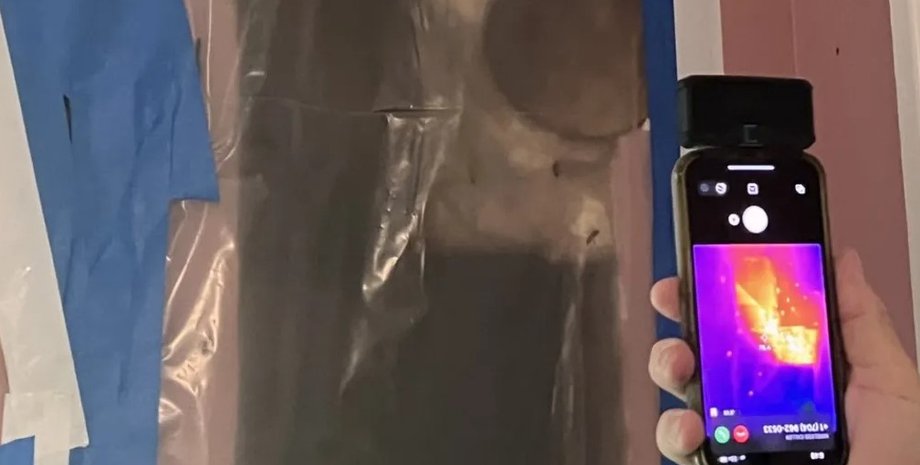 улей, пчелы, дом