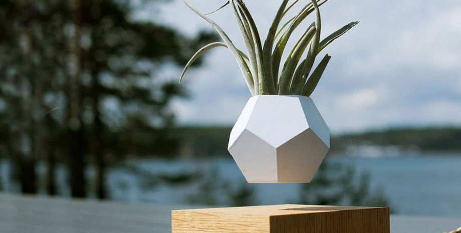 квітковий горщик, рослина, левітація