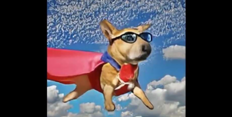 Make-A-Video, ИИ, собака, видео