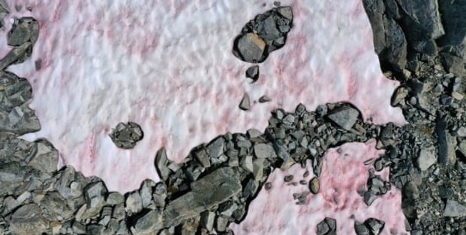 Фото: Miguel Medina