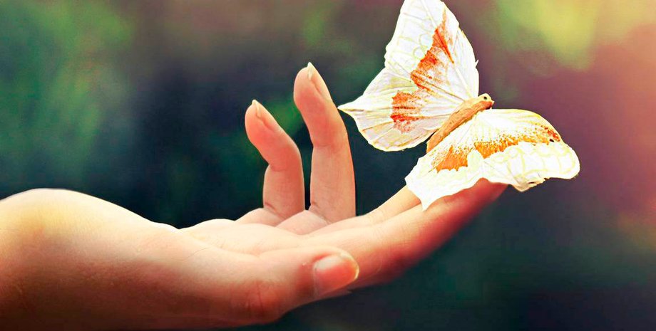 Фото: kan-yu.com.ua