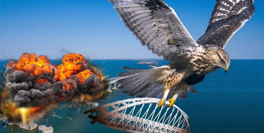 птица, археология, исследование, вымирание, окаменелость, орел гаффа