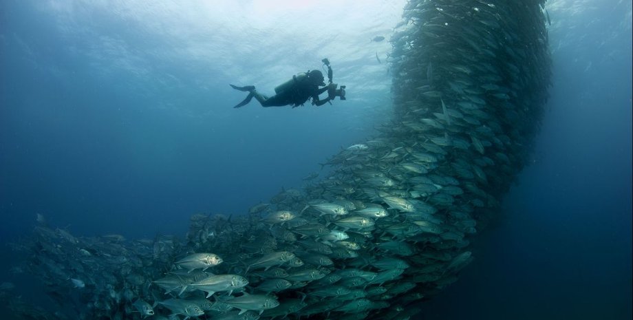 Фото: fishretail.ru