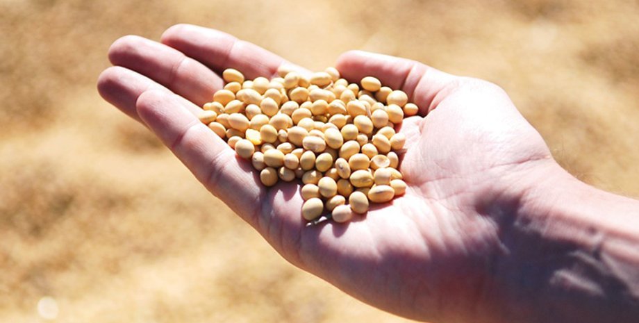 Фото: AgroPortal.ua