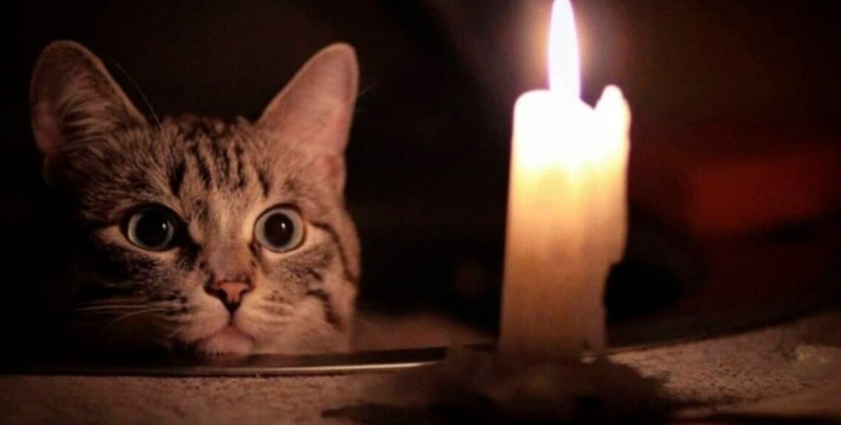 Кот со свечой кот, свеча, свет, отключение света, отключение электроэнергии