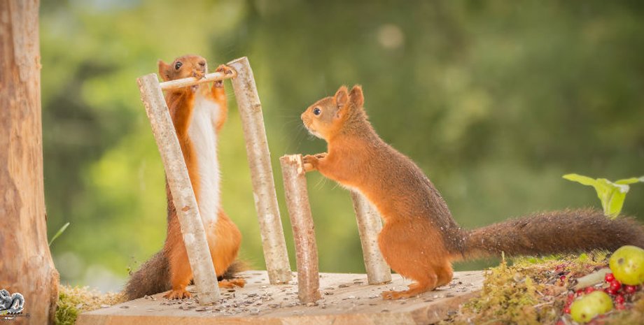 Фото: boredpanda.com