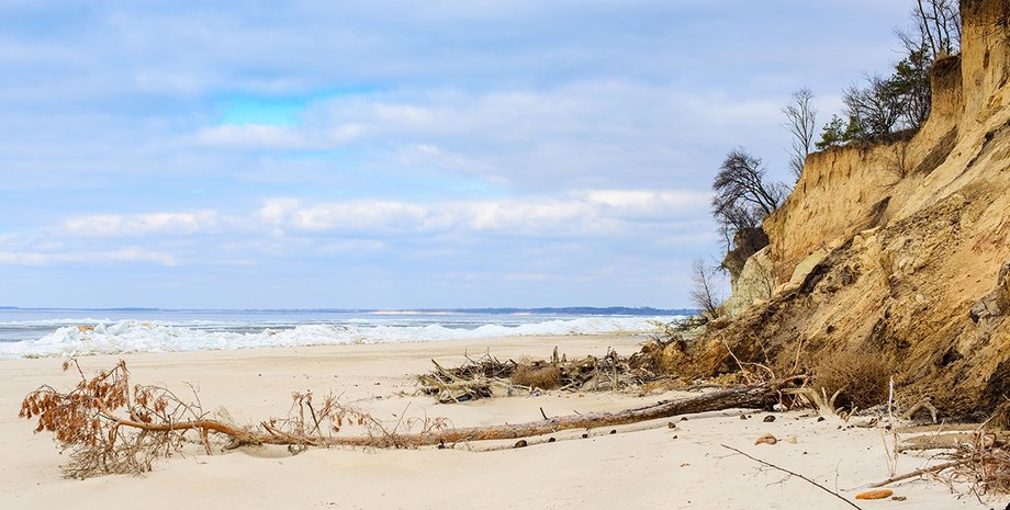 Фото: из личных архивов