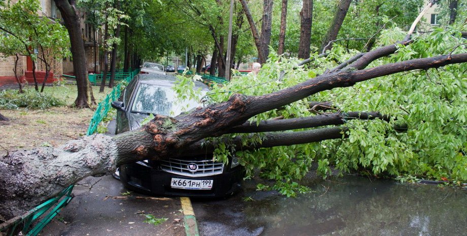 Фото: LiveInternet