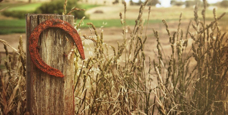 Фото: pxhere.com