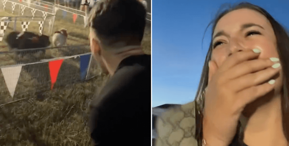 гонки свиней, свидание, первое свидание