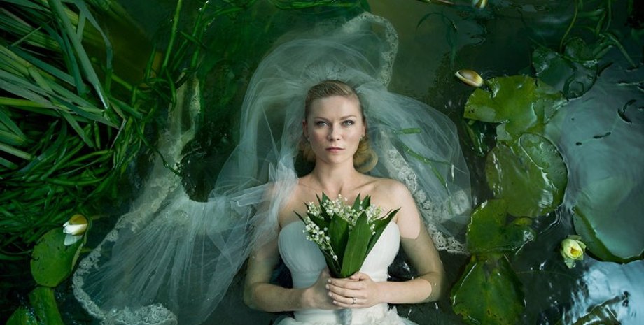 Фото: скриншот