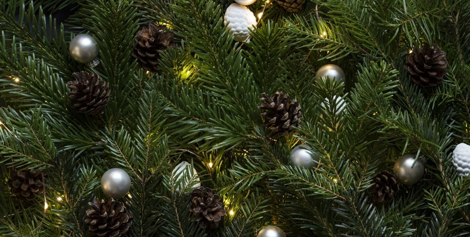 Фото: pxhere.com