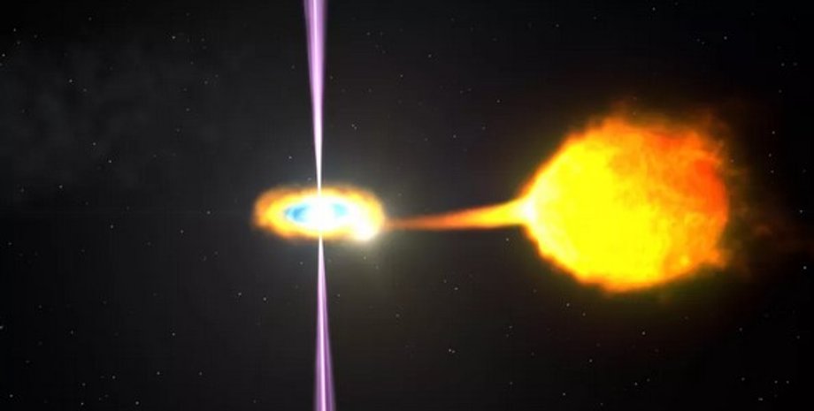 Пульсар, звезда-компаньон, черная вдова