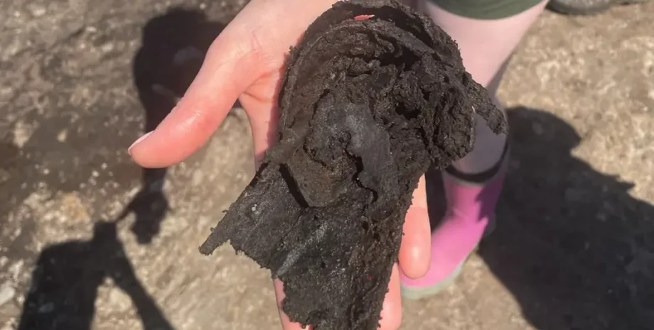 археологи, археология, римляне, форт, Англия, раскопки, находка, артефакты, легион, легионеры, Магна, сандалии, ученые, волонтеры