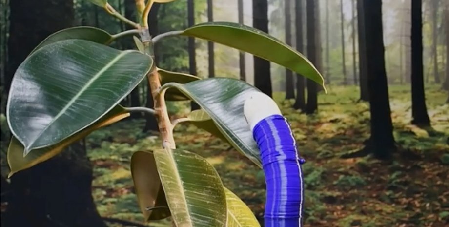 FiloBot, робот FiloBot, робот