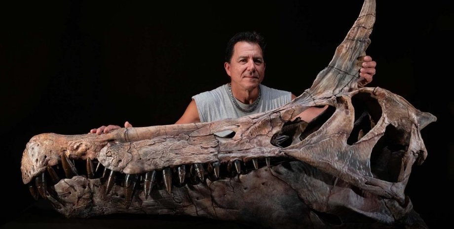 спинозавр череп