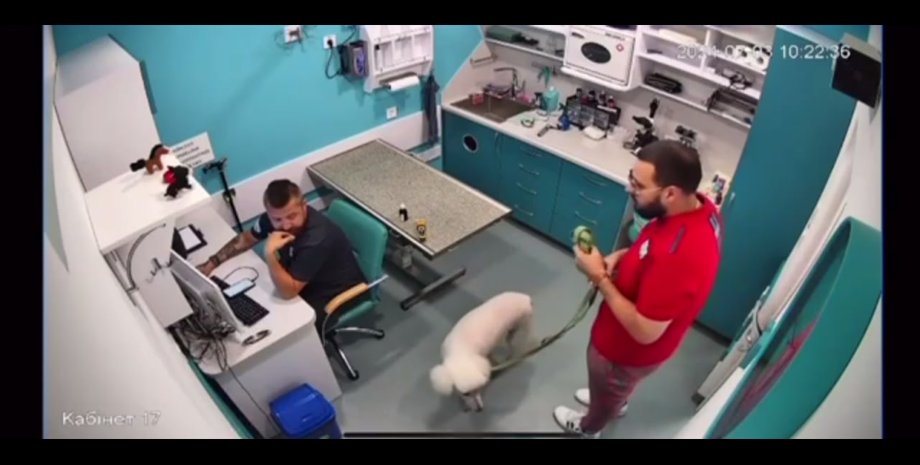 війна в україні, війна з росією, ветеран, ветеринар, миротворець, вадим шевеленко