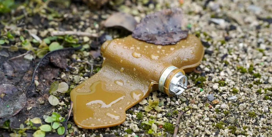 міна Пелюстка