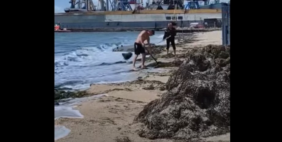 Коммунальщики, Бердянск