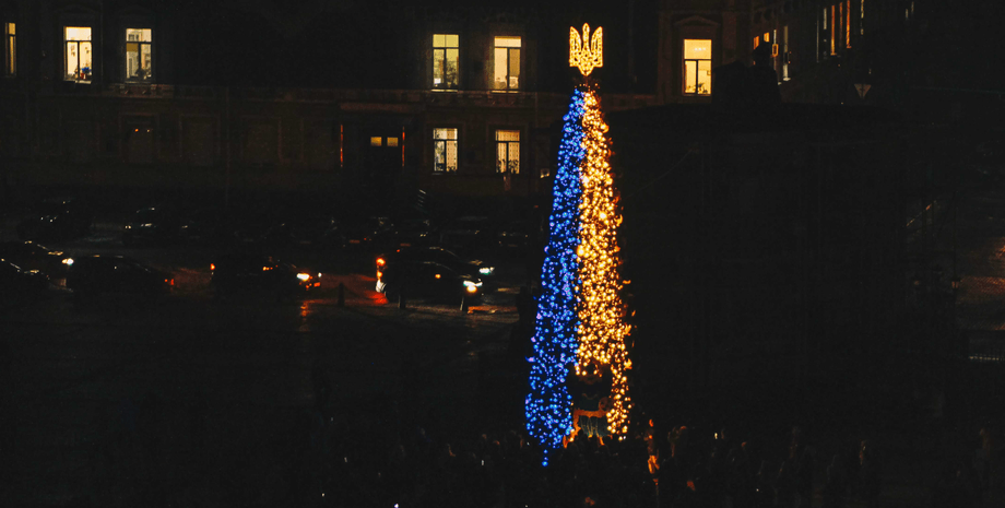 елка киев, киев елка, елка в киеве, киев елка 2022, елка несокрушимости