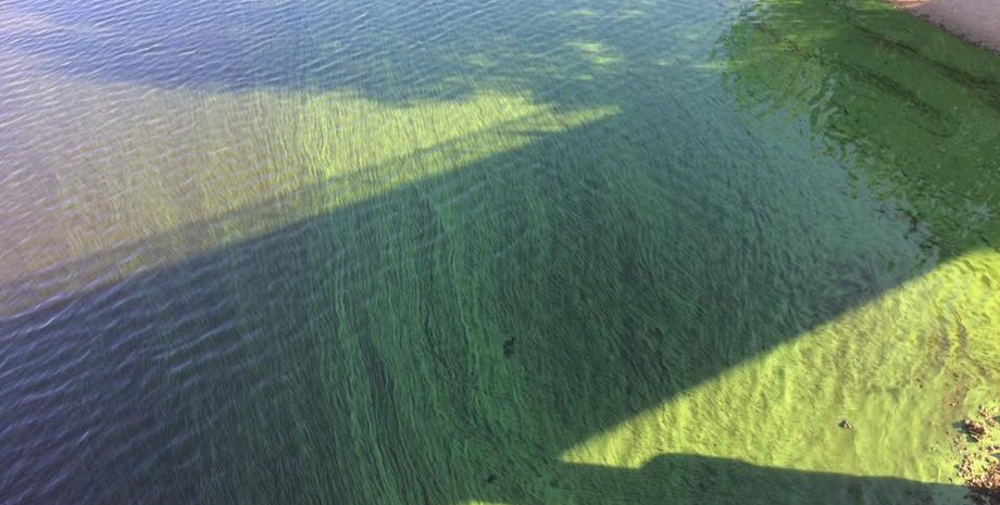 Фото: страница Геннадия Чижикова в Facebook