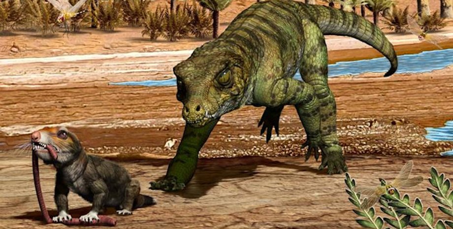 крокодили, еволюція крокодилів, виживання крокодилів