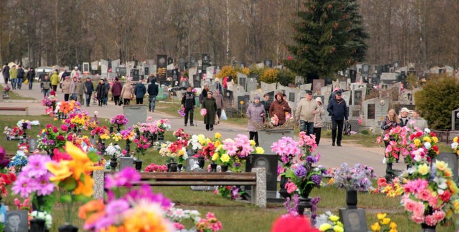 Фото: "Вести"