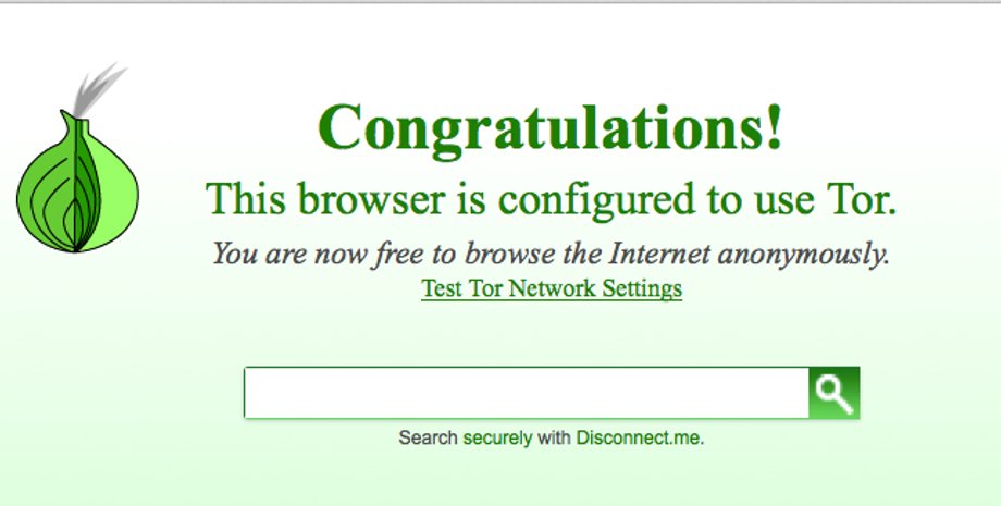 Браузер Tor / Фото из открытых источников