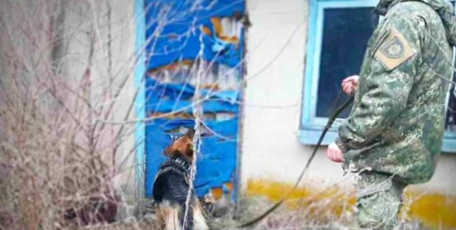 Фото: facebook/UA.National.Police