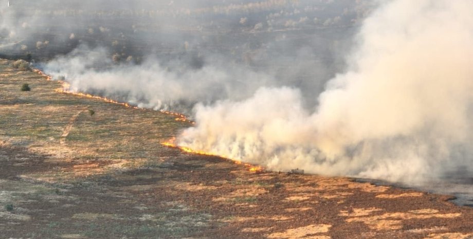 огонь, поле, николаев, пожар, гснс, тушение