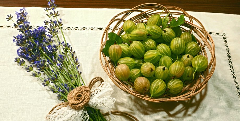 Аґрус допомагає спалювати жир