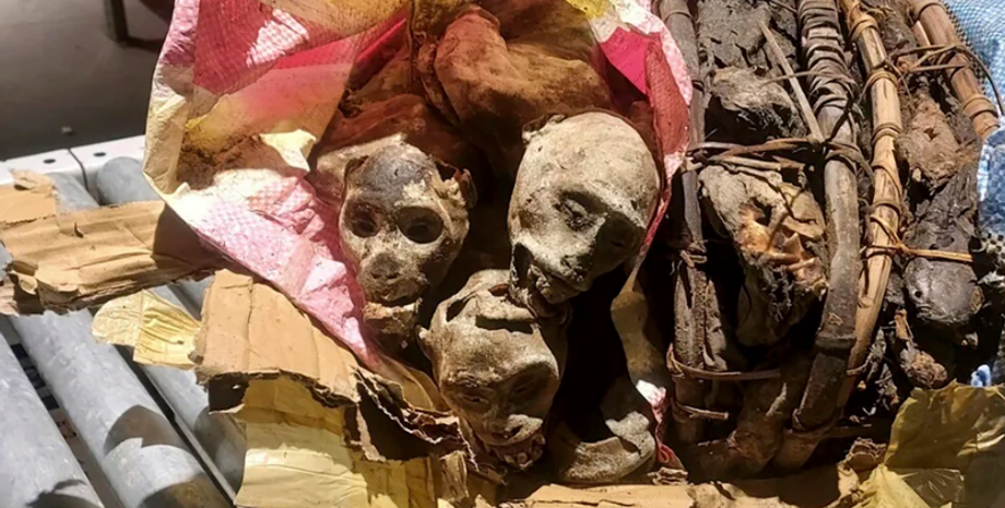 Мумии приматов, необычные находки, багаж пассажиров, контрабанда, опасные вирусы, США, аэропорт, фото, курьезы