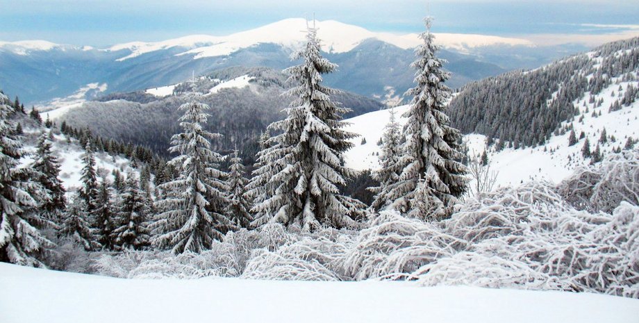 Фото: nikoletta.biz