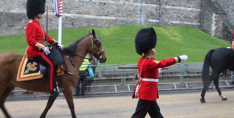 Фото: Артем Мирный