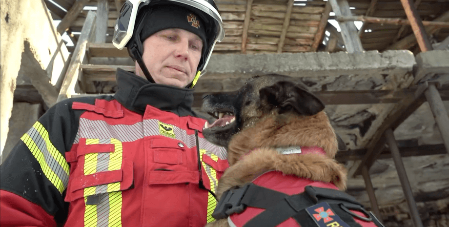 бельгійська вівчарка, собака, рятувальник, ДСНС