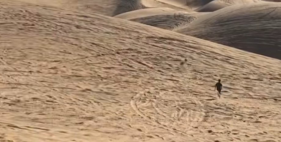 Чоловік відпустив собаку з повідця, і він ледь не втік у пустелі