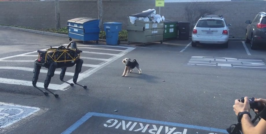 Скриншот видео