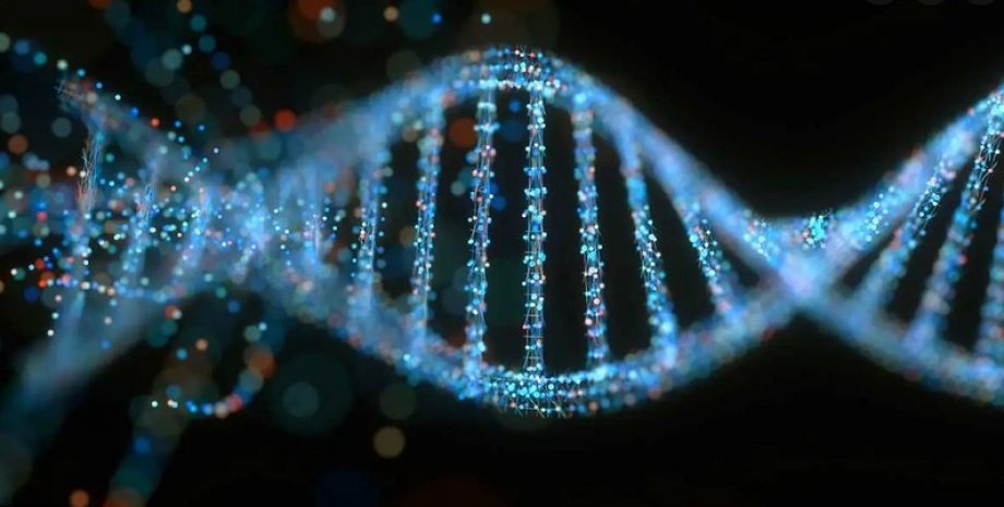 ДНК, геном