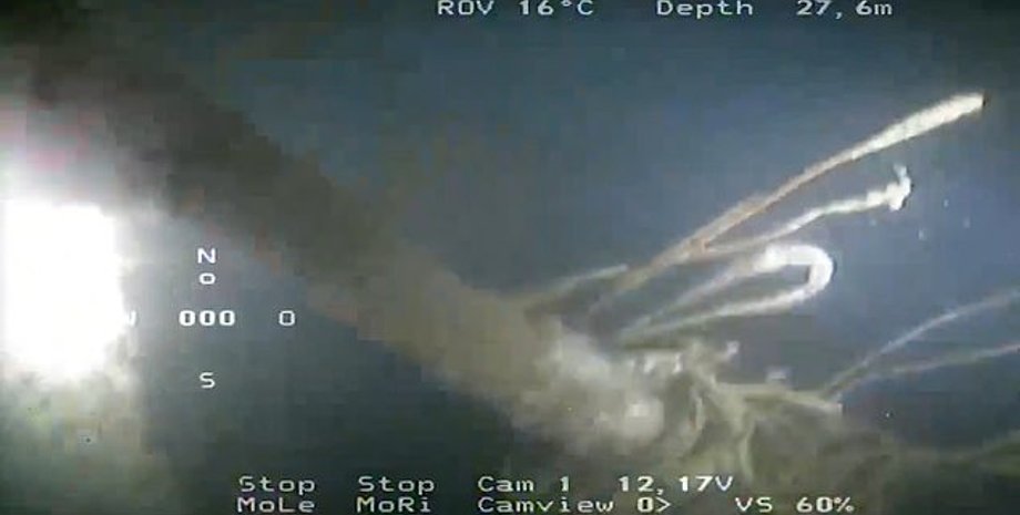 підводні човни Другої світової війни, найзнаменитіший німецький підводний човен,