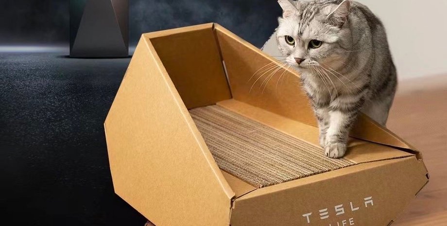 лоток Tesla, кошка