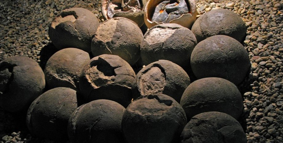 Иллюстративное фото