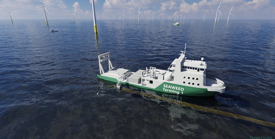 Морская ветроэлектростанция, водоросли, Нидерланды, фото