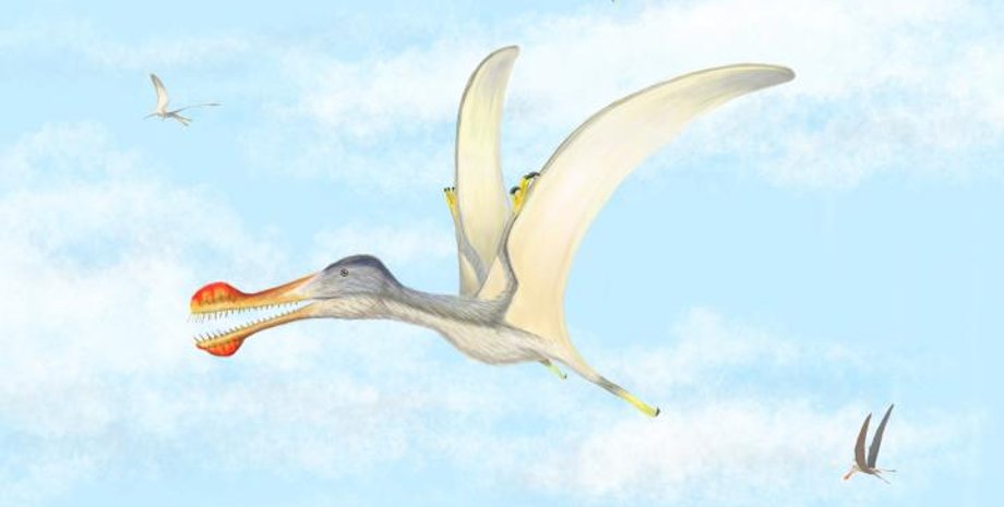 Фото: Nizar Ibrahim/University of Detroit Mercy