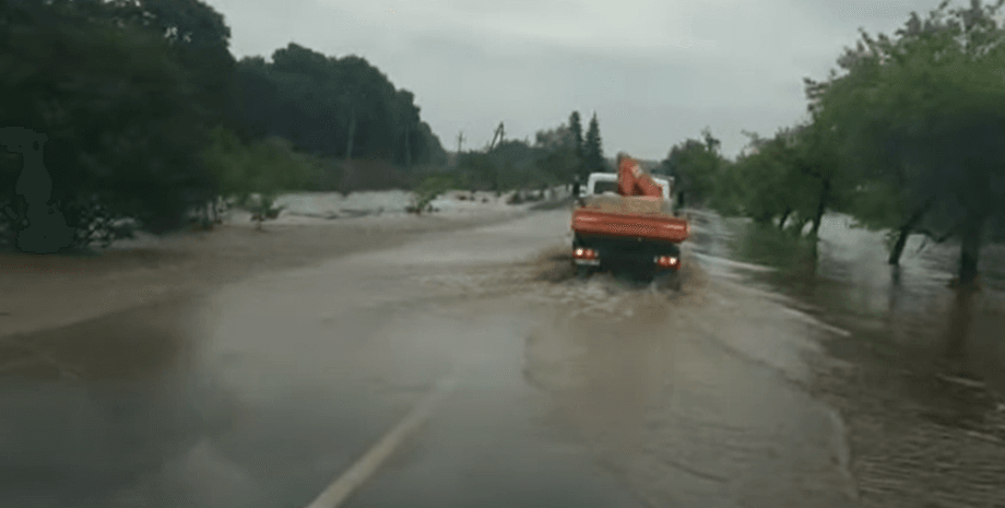 Фото: скриншот