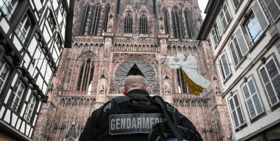 Фото: Вести