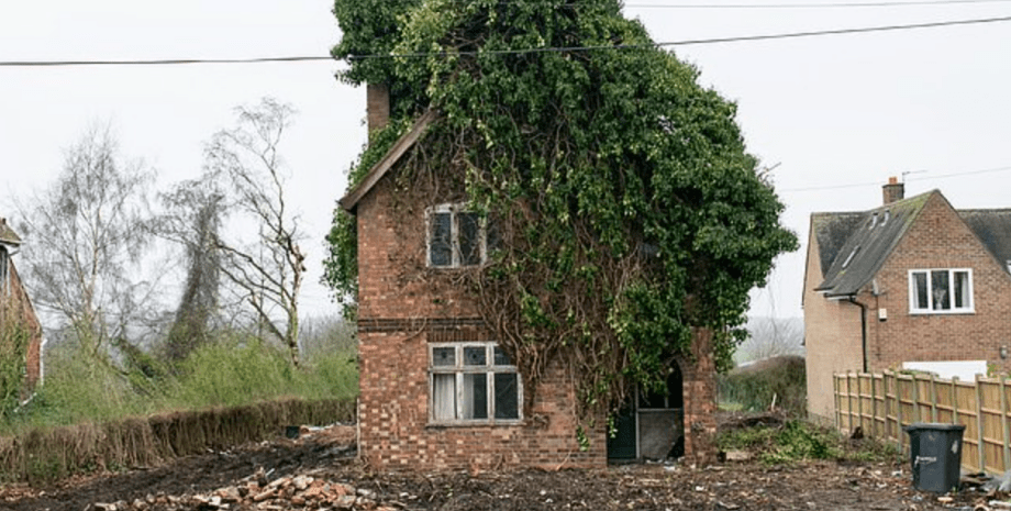 сказочный дом, Англия, Дэвид Кемп, дикая природа, недвижимость в Британии, пчеловод