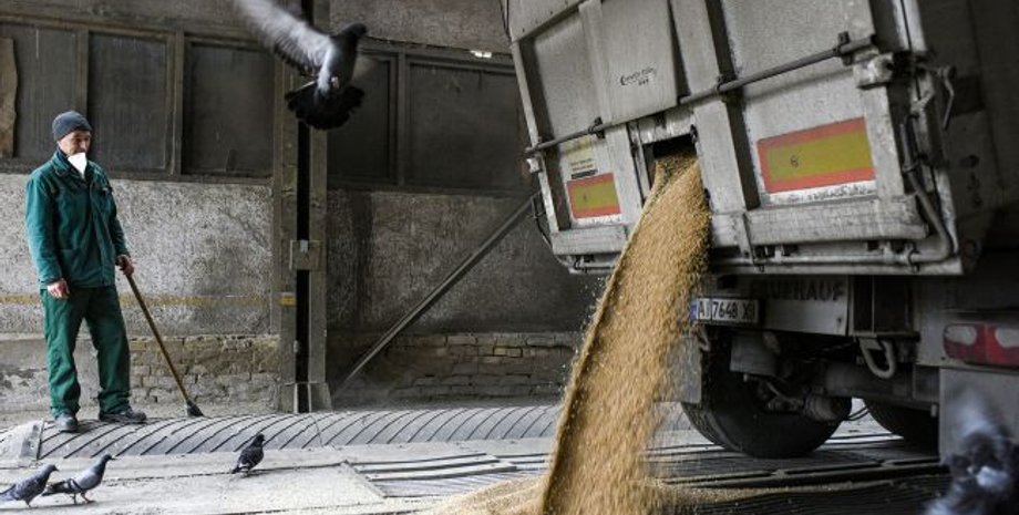 сбу, експорт зерна, митниця, схема, беб, одеська митниця